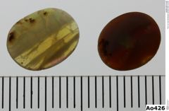Foto von Opal (Edelopal) (NHMW-MIN-Ao426)